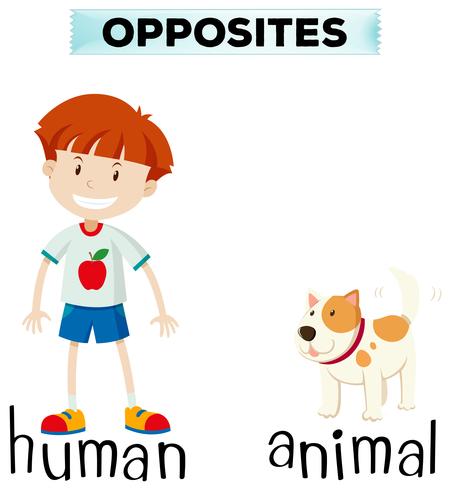 Palabras opuestas para humano y animal. vector