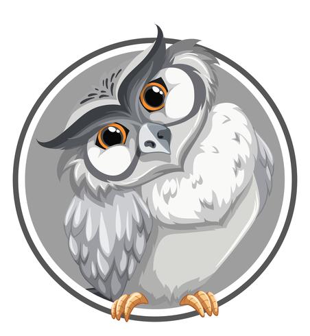 Owl in circle banner  vector