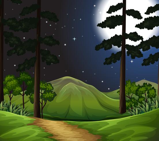 woods at night scene vector