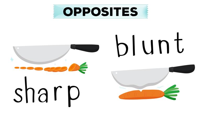 Opposite words for sharp and blunt vector