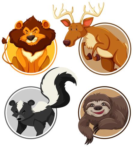 Set of wild animals on circle template vector