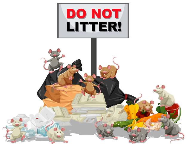 Rats searching for food at the litter pile vector