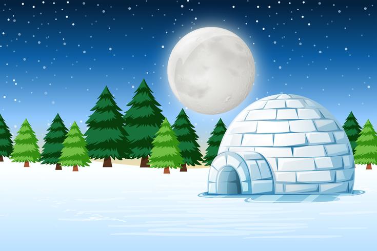 Igloo in winter night landscape vector