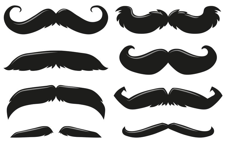 Diferentes tipos de bigote vector