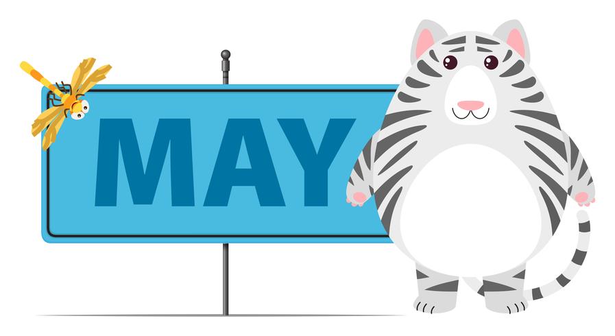 Gray cat and sign for May vector