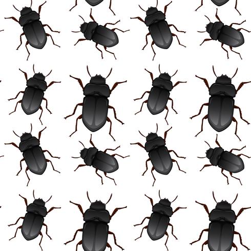 Beetle bug seamless pattern vector