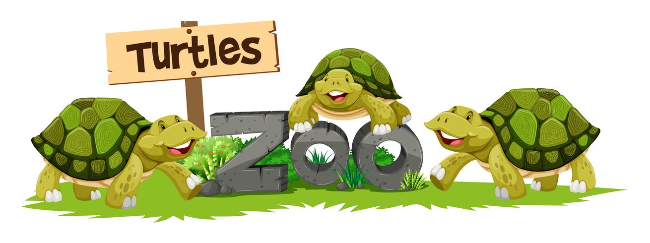 Tortugas en el zoológico vector