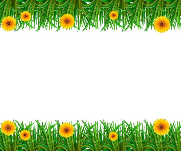 Frame vector