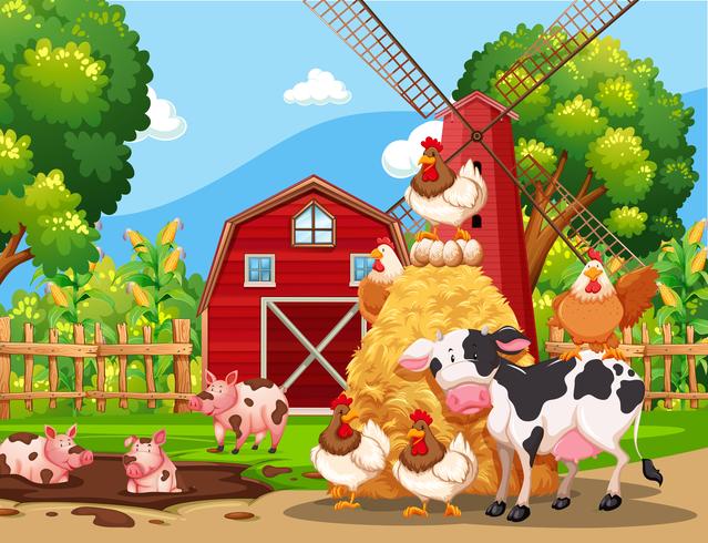 Farm scene with animals  vector