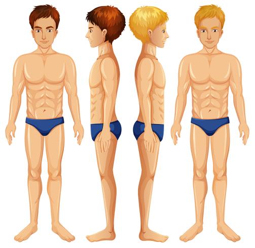 A Set of Male Body vector