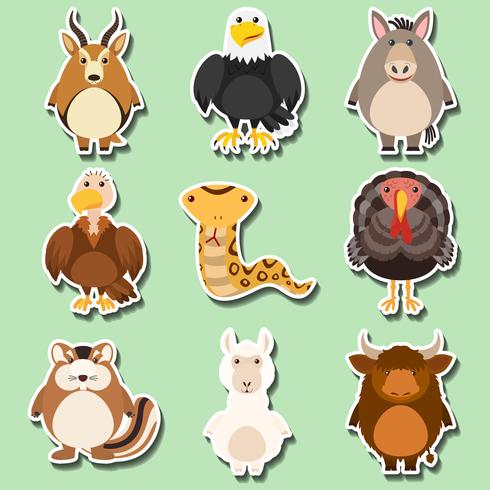 Sticker design with many animals on green background vector