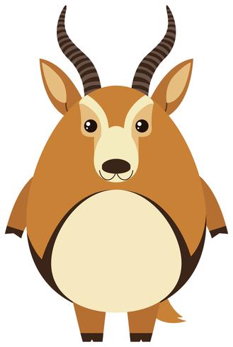 Cute gazelle with round body vector