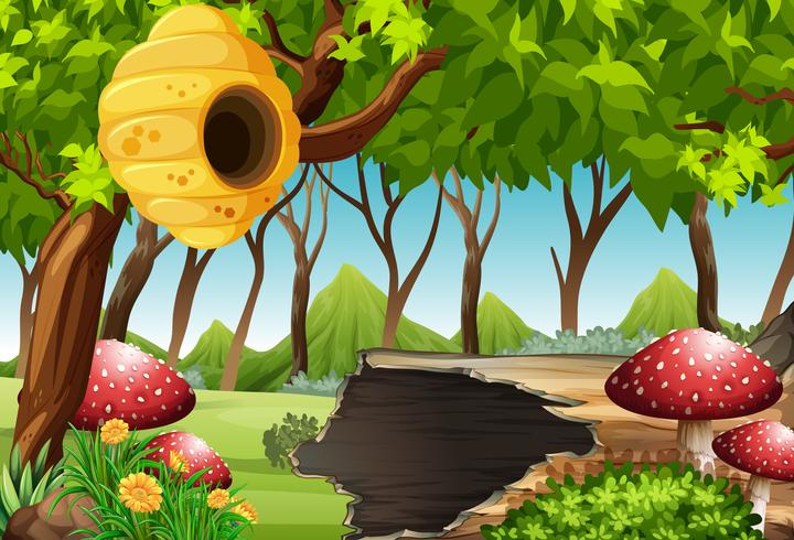 Forest scene with beehive and mushroom vector