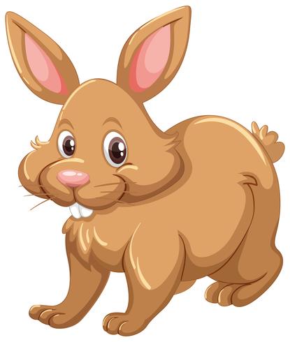 Brown rabbit on white background vector