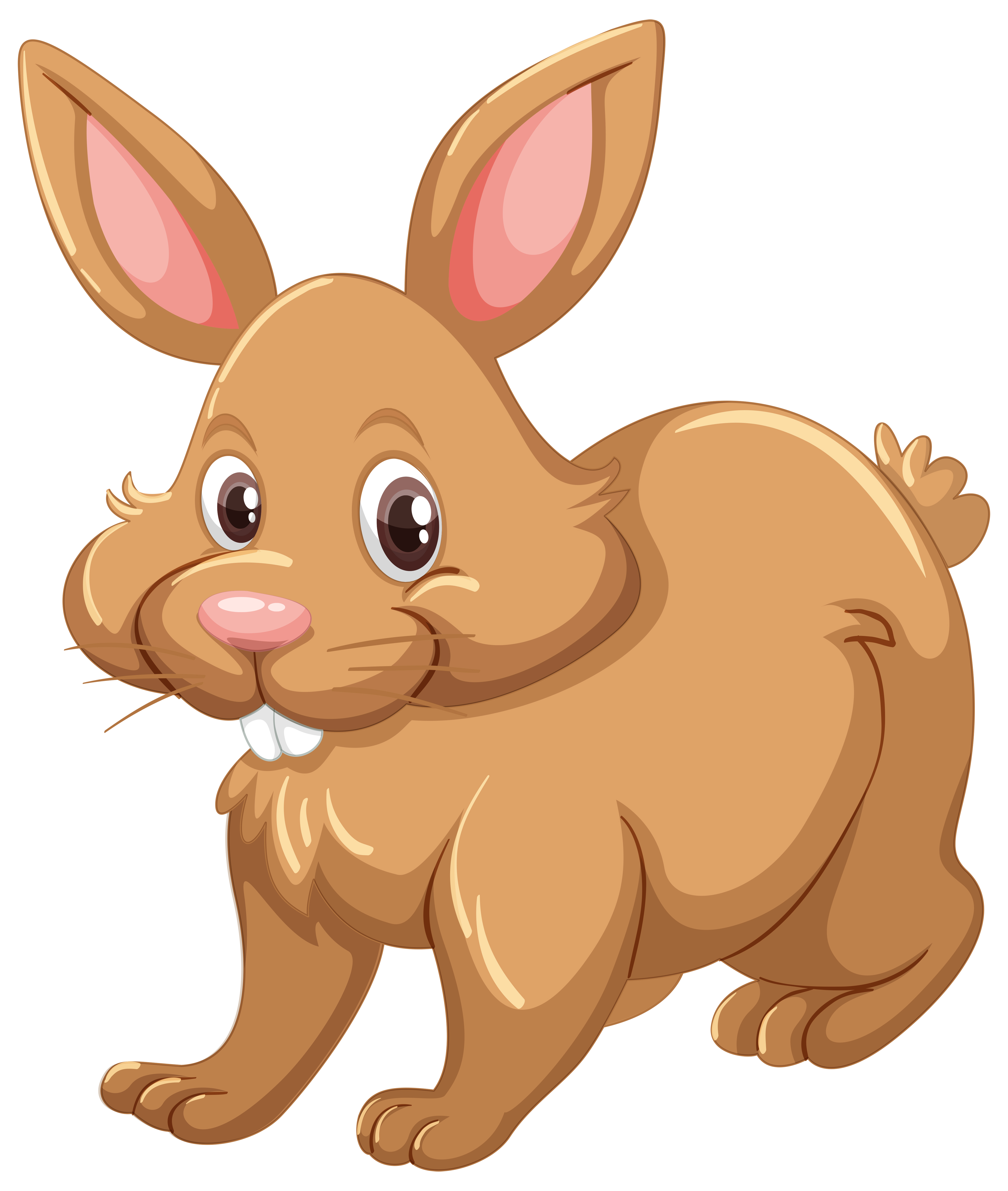 Brown rabbit on white background 293096 Download Free Vectors Clipart Graphics & Vector Art