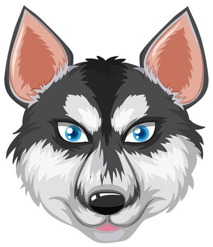 Face of siberian husky vector