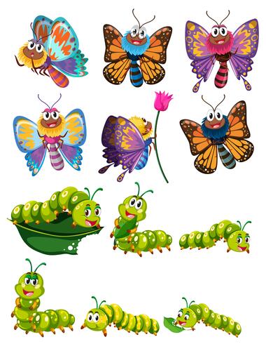 Caterpillars and butterflies with colorful wings vector