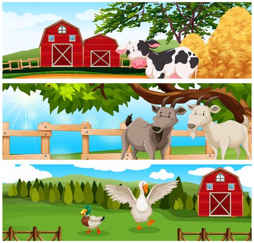 Farm animals on the farmland - Download Free Vector Art, Stock Graphics & Images