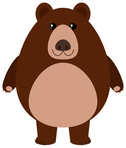 Grizzly bear smiling on white background vector