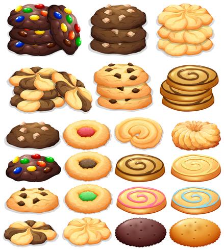 Diferentes tipos de galletas vector