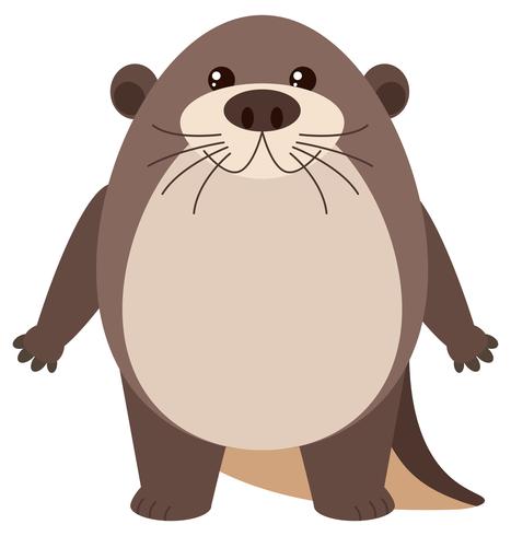 Cute otter on white background vector