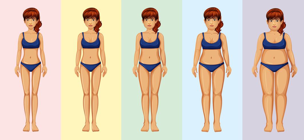 Transformación del cuerpo de una mujer vector