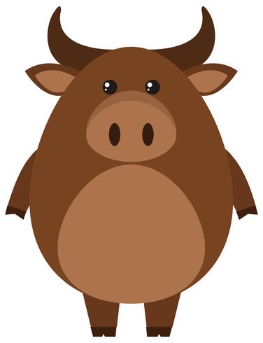 Brown buffalo on white background vector