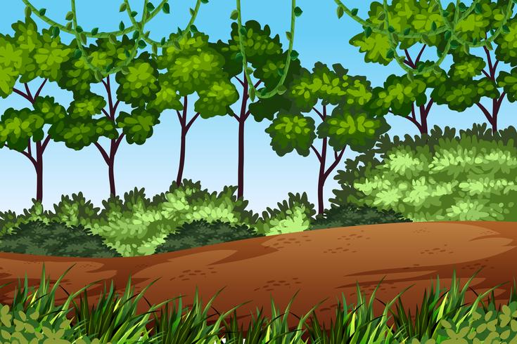 Paisaje de la naturaleza del bosque verde vector