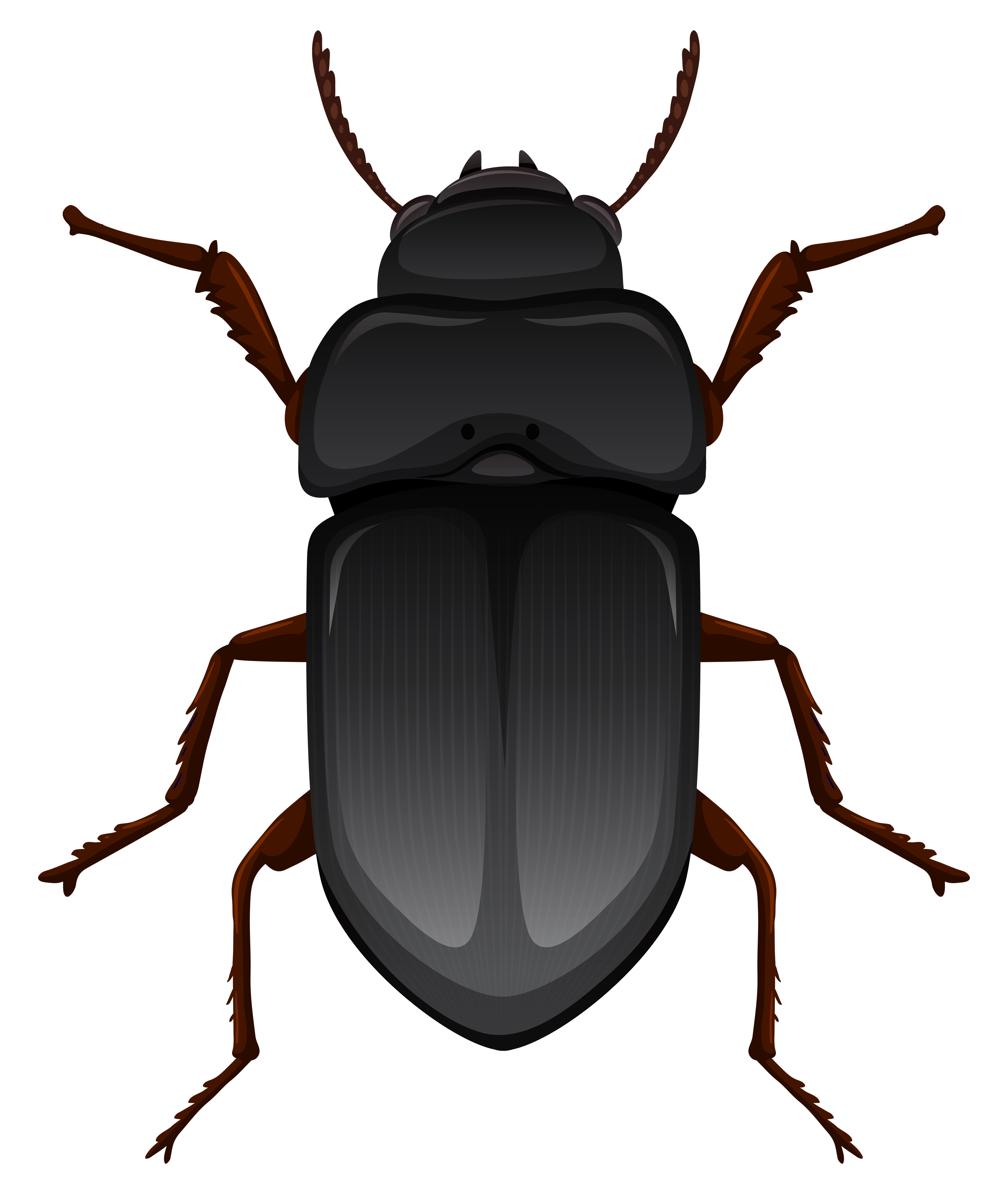 Mealworm on white background 293285 Vector Art at Vecteezy