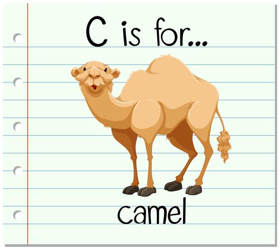 La letra C de la Flashcard es para camello. vector