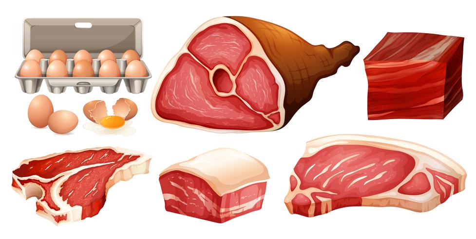 Diferentes tipos de carne fresca. vector