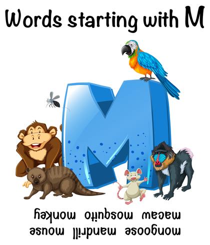 English words starting with M illustration vector