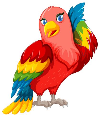 Hermoso loro con alas de colores vector