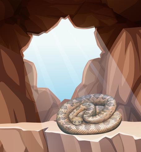 Snake in cave scene vector