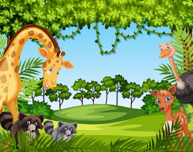 Wild animal in nature vector