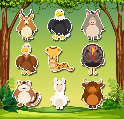 Set of wild animals sticker - Download Free Vector Art, Stock Graphics & Images