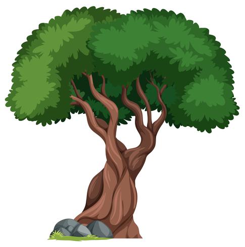 An isolated tree in nature background vector