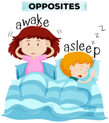 Opposite words for awake and asleep vector