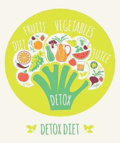 Ilustración vectorial de la dieta de desintoxicación. vector