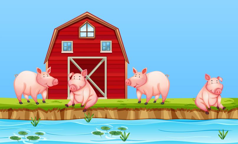 Pigs at the farm vector