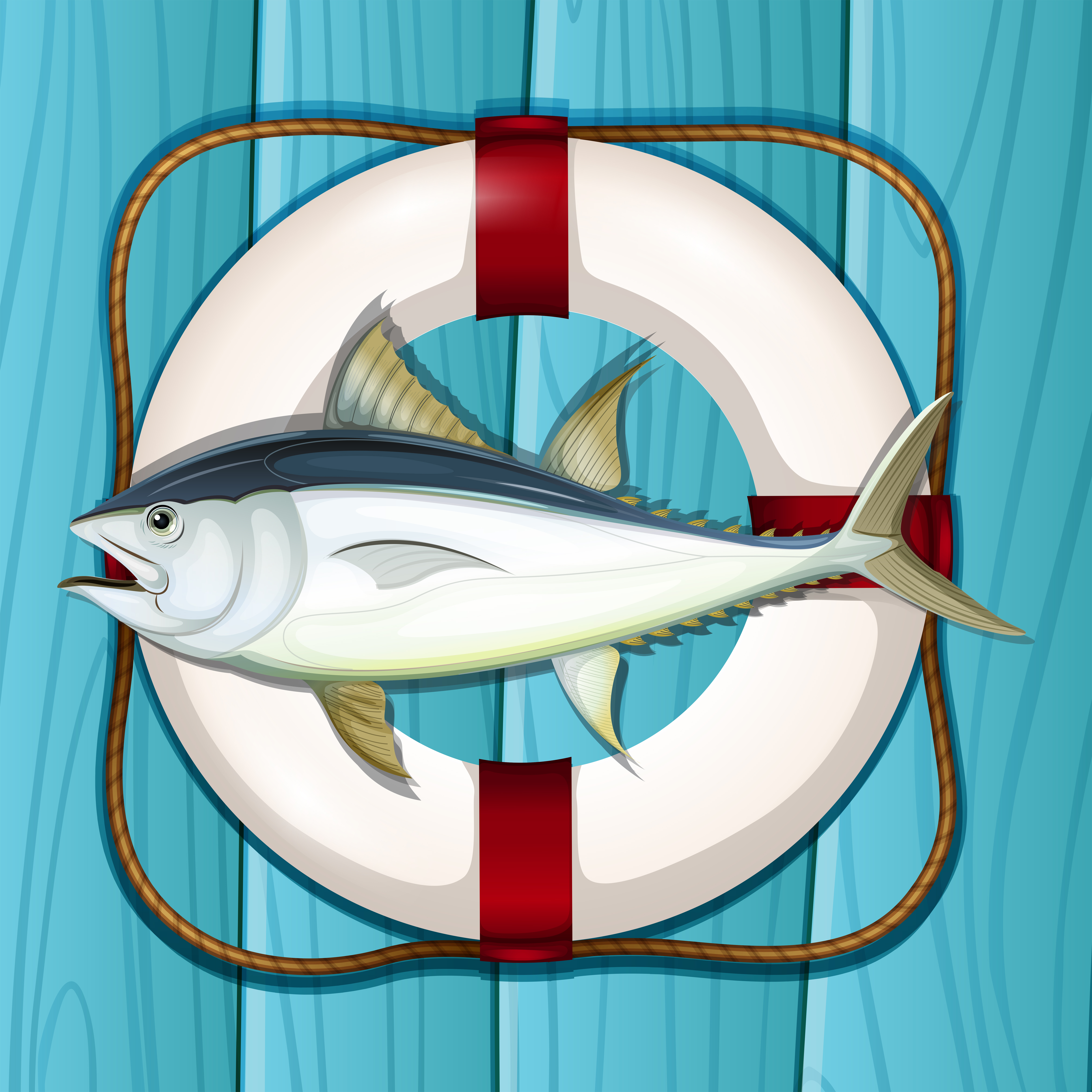 Download A tuna on blue marine template - Download Free Vectors ...