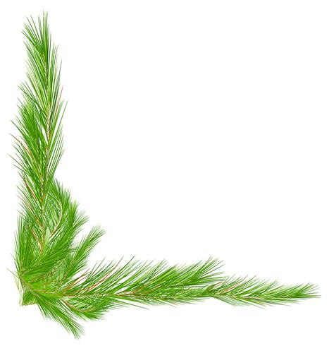 Border template with pine leaves - Download Free Vector Art, Stock Graphics & Images