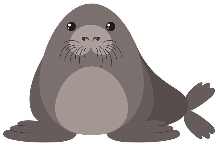 Seal with round body vector