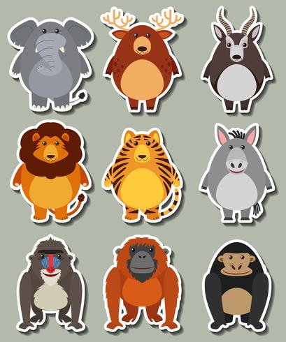 Sticker design with many wild animals vector