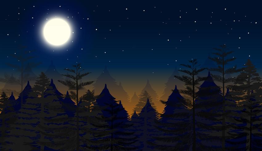 Fondo de escena de bosque nocturno vector