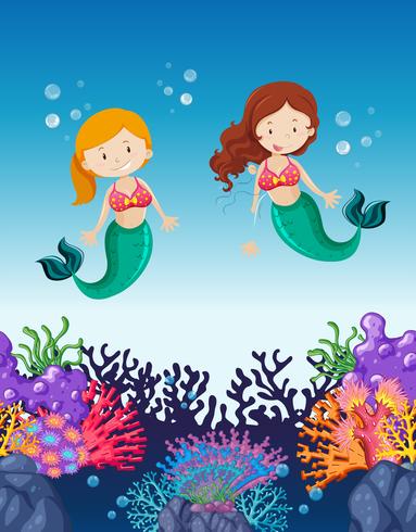 Two mermaids swimming under the ocean vector