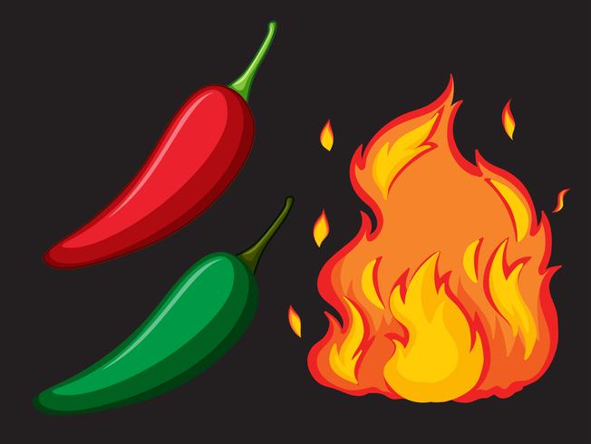 Caliente picante chiles y fuego vector