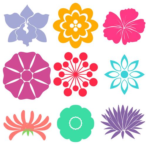 Plantillas florales vector