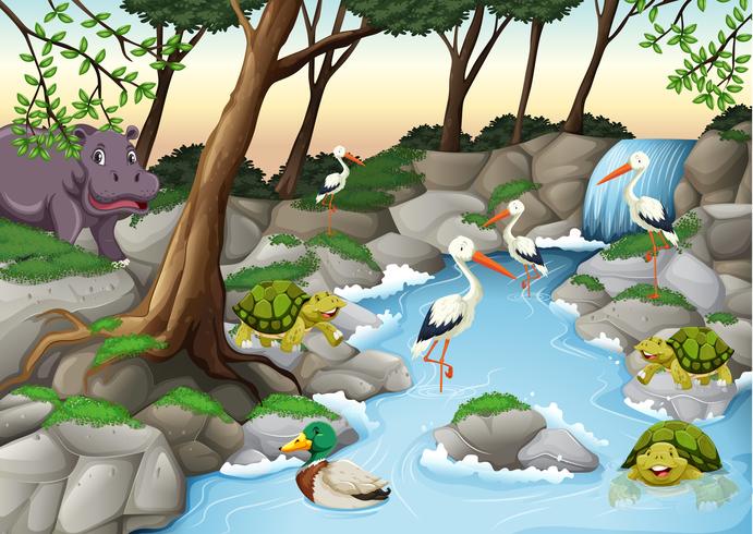 Escena de agua con muchos animales salvajes. vector