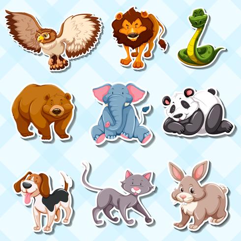 Set de pegatinas con muchos animales salvajes. vector